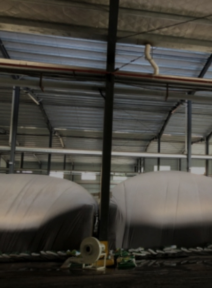 Stake(中国区)官方网站